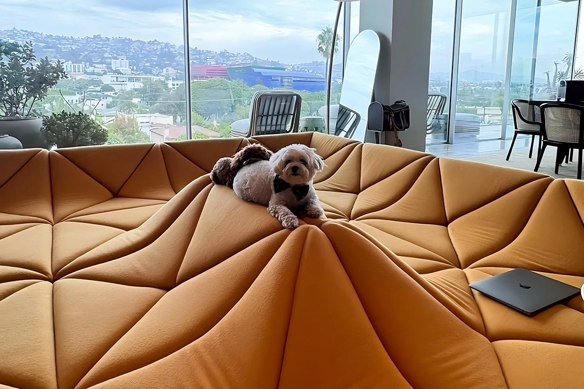 customizable sectional couch