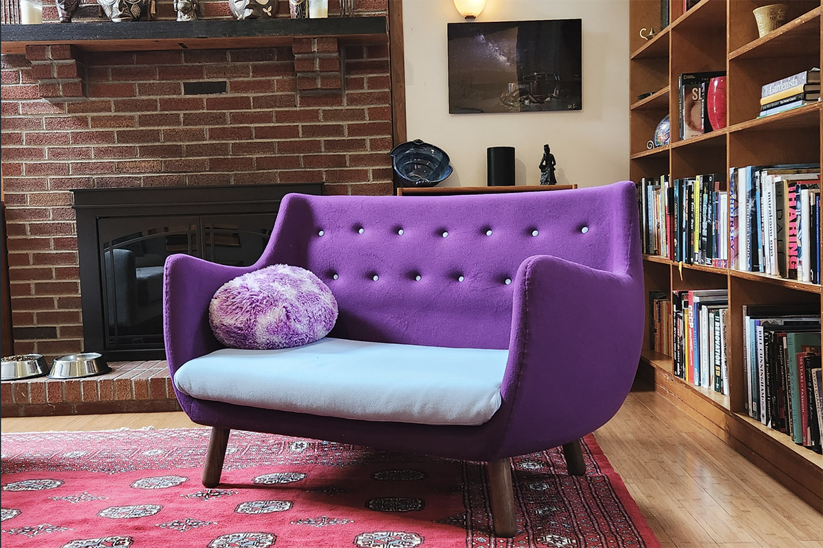 Cozy Nook: The Perfect Choice of Small Loveseat Sofas and Couches